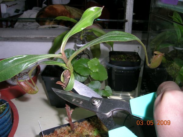 «ö¦¹¦b·sµøµ¡ÂsÄý¹Ï¤ù