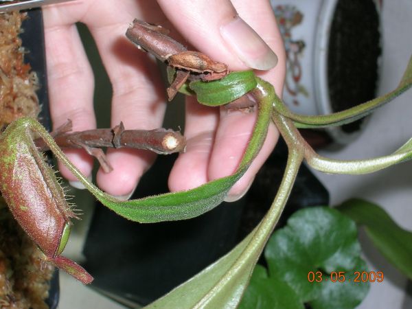 «ö¦¹¦b·sµøµ¡ÂsÄý¹Ï¤ù