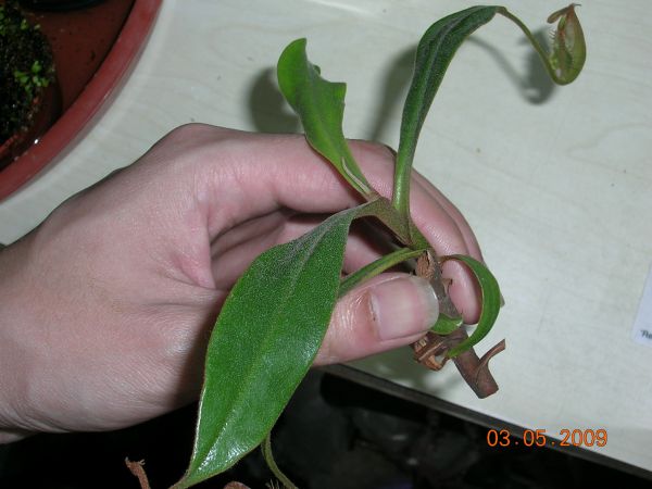 «ö¦¹¦b·sµøµ¡ÂsÄý¹Ï¤ù