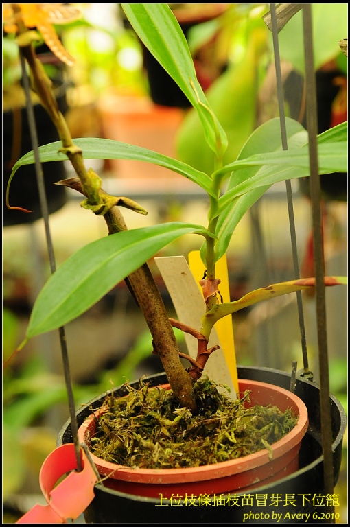 «ö¦¹¦b·sµøµ¡ÂsÄý¹Ï¤ù