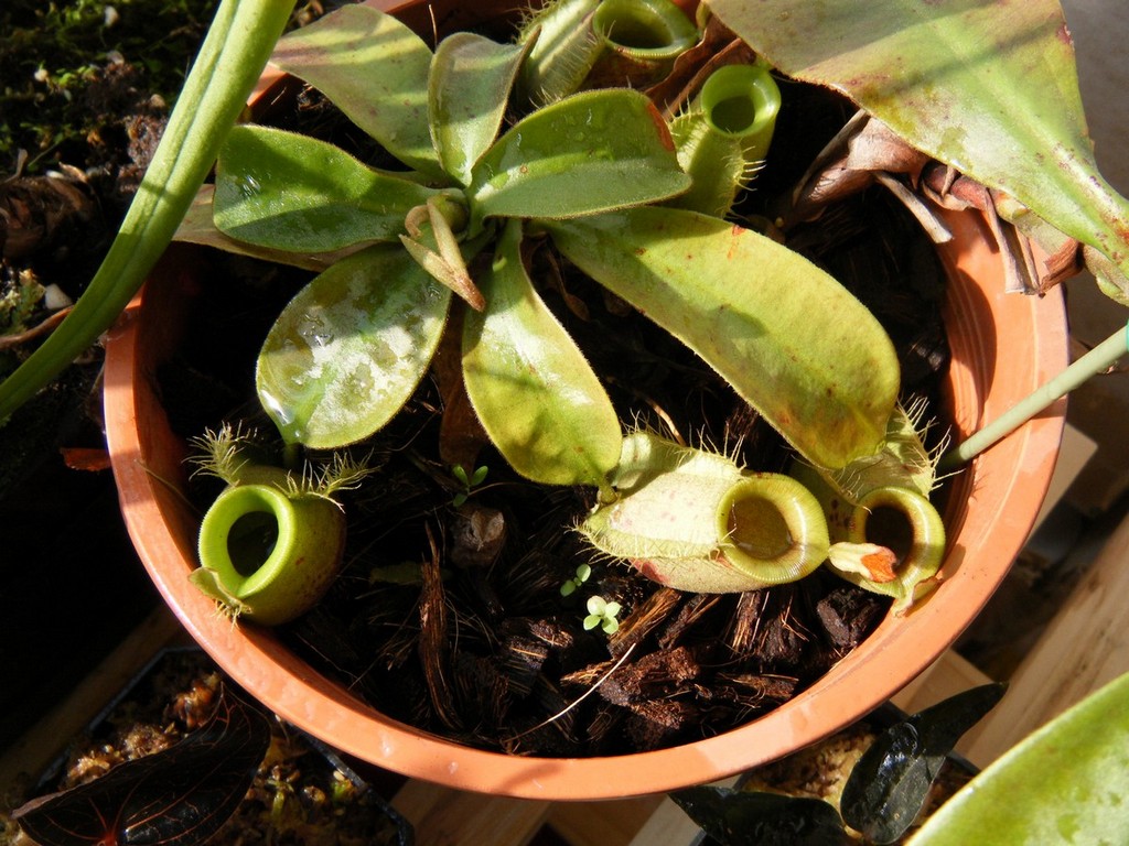 «ö¦¹¦b·sµøµ¡ÂsÄý¹Ï¤ù