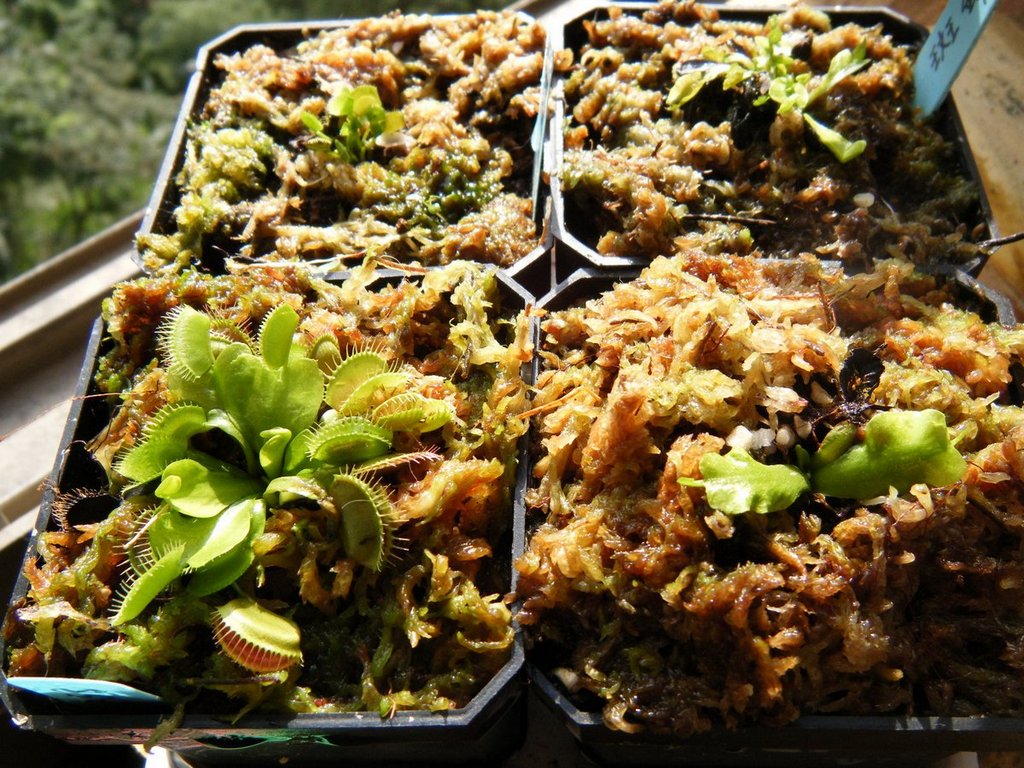 «ö¦¹¦b·sµøµ¡ÂsÄý¹Ï¤ù