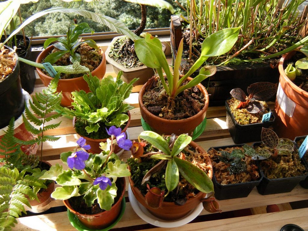 «ö¦¹¦b·sµøµ¡ÂsÄý¹Ï¤ù