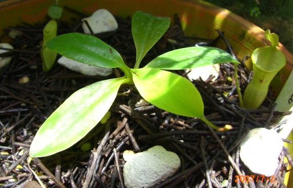 «ö¦¹¦b·sµøµ¡ÂsÄý¹Ï¤ù