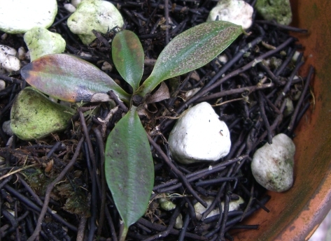 «ö¦¹¦b·sµøµ¡ÂsÄý¹Ï¤ù