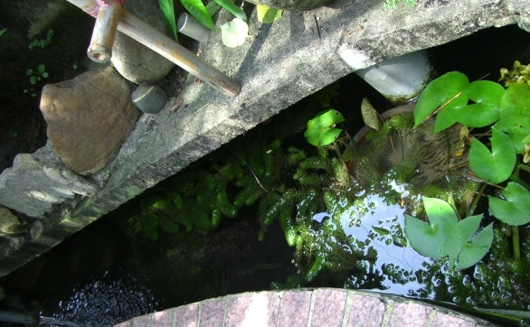 «ö¦¹¦b·sµøµ¡ÂsÄý¹Ï¤ù