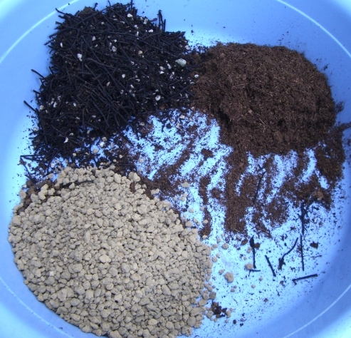 «ö¦¹¦b·sµøµ¡ÂsÄý¹Ï¤ù