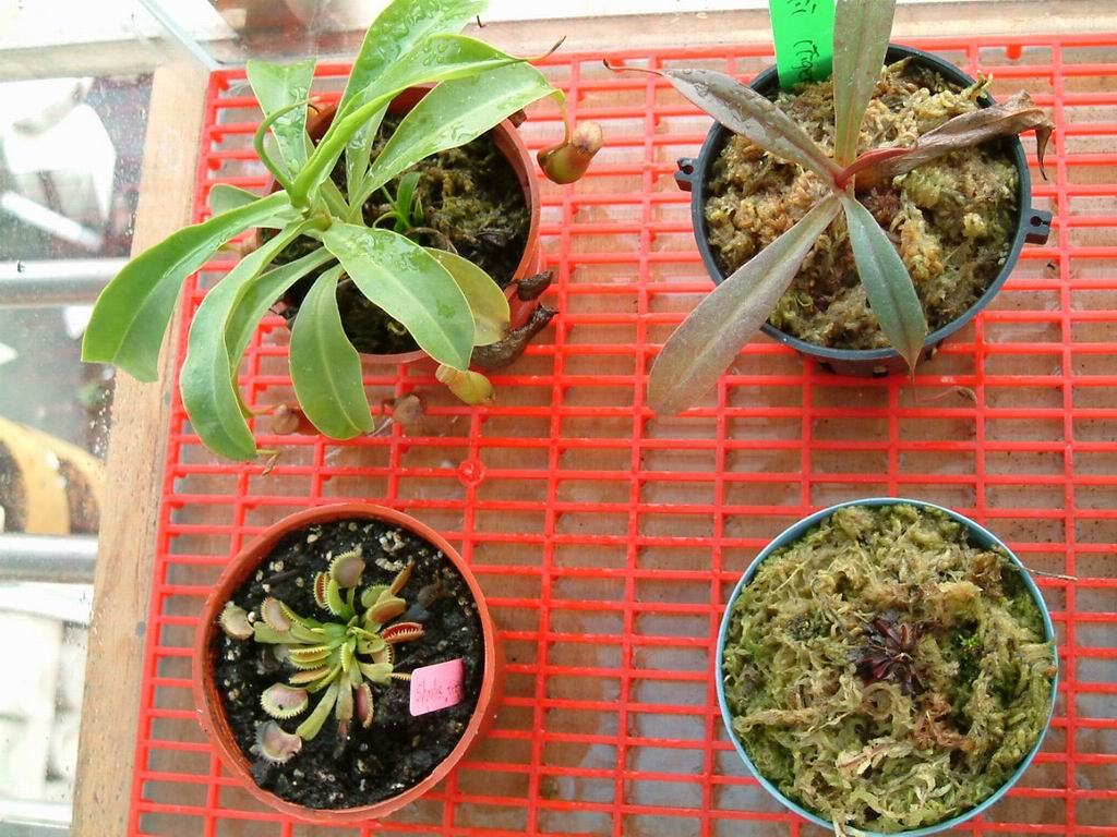 «ö¦¹¦b·sµøµ¡ÂsÄý¹Ï¤ù