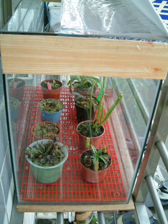 «ö¦¹¦b·sµøµ¡ÂsÄý¹Ï¤ù