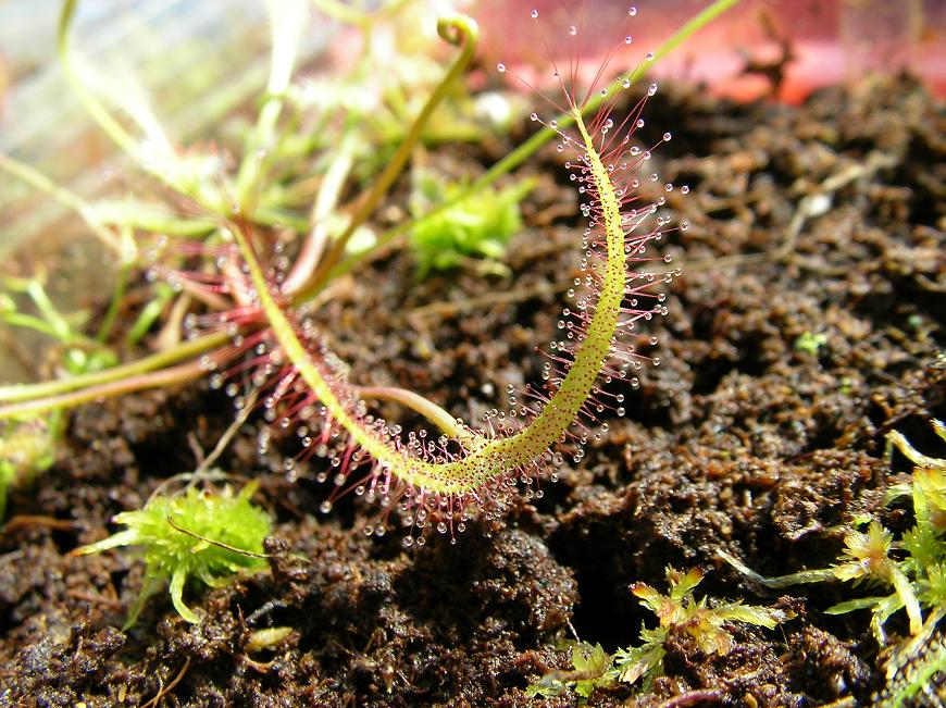 «ö¦¹¦b·sµøµ¡ÂsÄý¹Ï¤ù