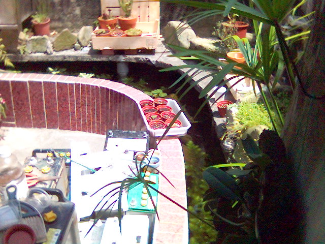 «ö¦¹¦b·sµøµ¡ÂsÄý¹Ï¤ù