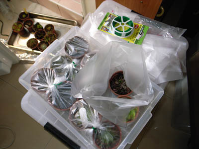 «ö¦¹¦b·sµøµ¡ÂsÄý¹Ï¤ù