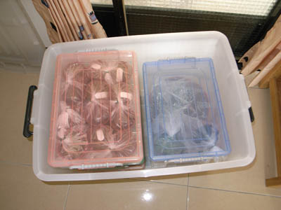 «ö¦¹¦b·sµøµ¡ÂsÄý¹Ï¤ù