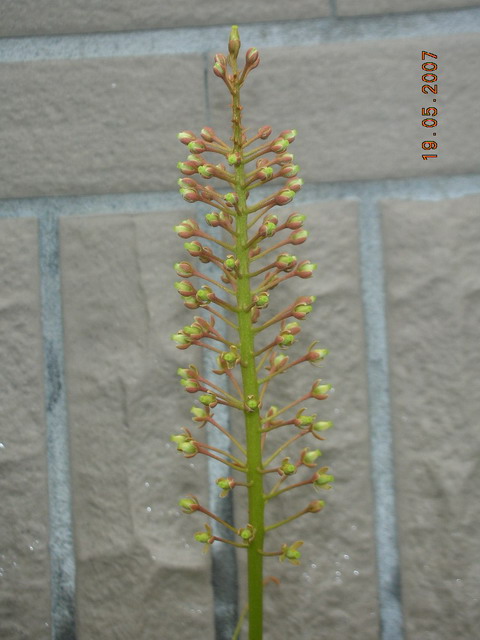 «ö¦¹¦b·sµøµ¡ÂsÄý¹Ï¤ù