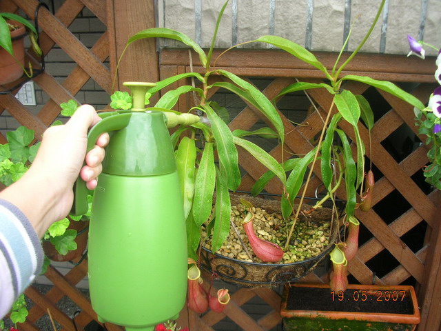 «ö¦¹¦b·sµøµ¡ÂsÄý¹Ï¤ù