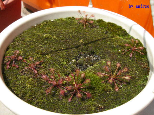 «ö¦¹¦b·sµøµ¡ÂsÄý¹Ï¤ù