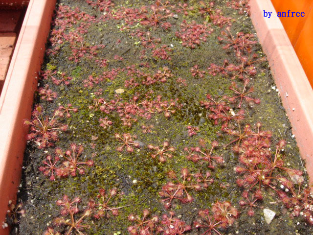 «ö¦¹¦b·sµøµ¡ÂsÄý¹Ï¤ù