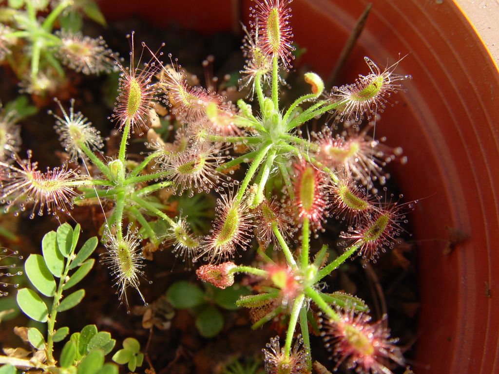 «ö¦¹¦b·sµøµ¡ÂsÄý¹Ï¤ù