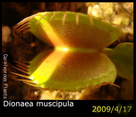 «ö¦¹¦b·sµøµ¡ÂsÄý¹Ï¤ù