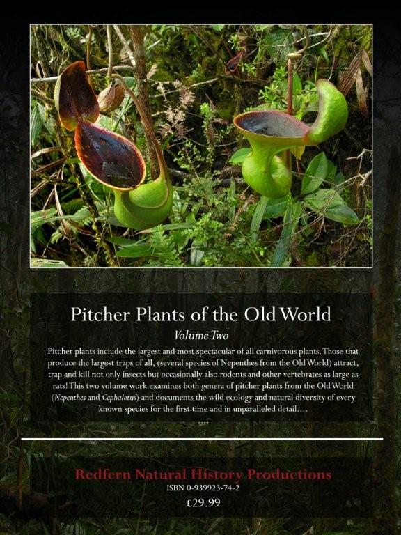 «ö¦¹¦b·sµøµ¡ÂsÄý¹Ï¤ù