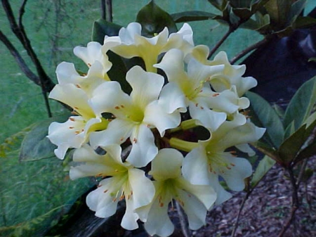 «ö¦¹¦b·sµøµ¡ÂsÄý¹Ï¤ù