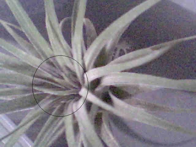 «ö¦¹¦b·sµøµ¡ÂsÄý¹Ï¤ù