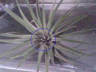 «ö¦¹¦b·sµøµ¡ÂsÄý¹Ï¤ù