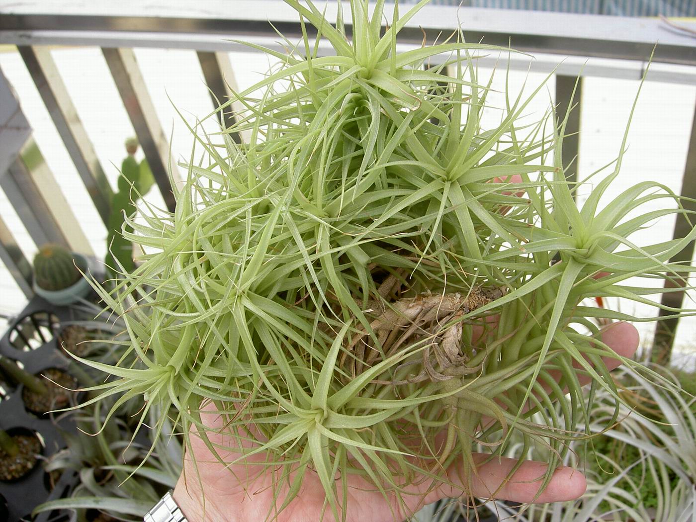 «ö¦¹¦b·sµøµ¡ÂsÄý¹Ï¤ù