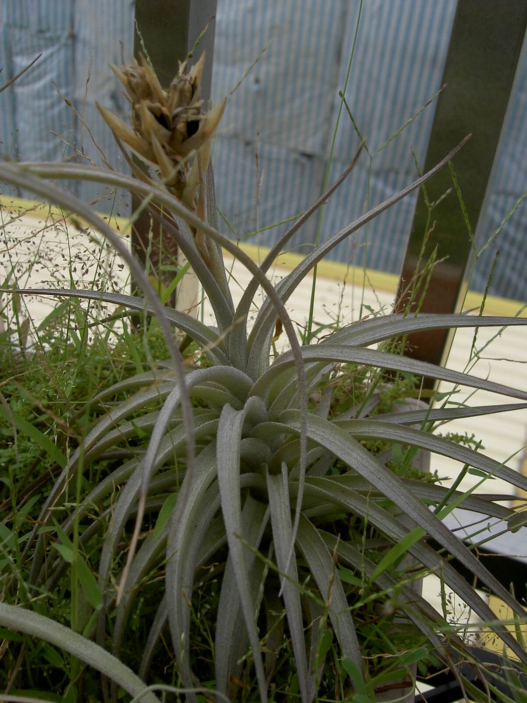 按此在新視窗瀏覽圖片