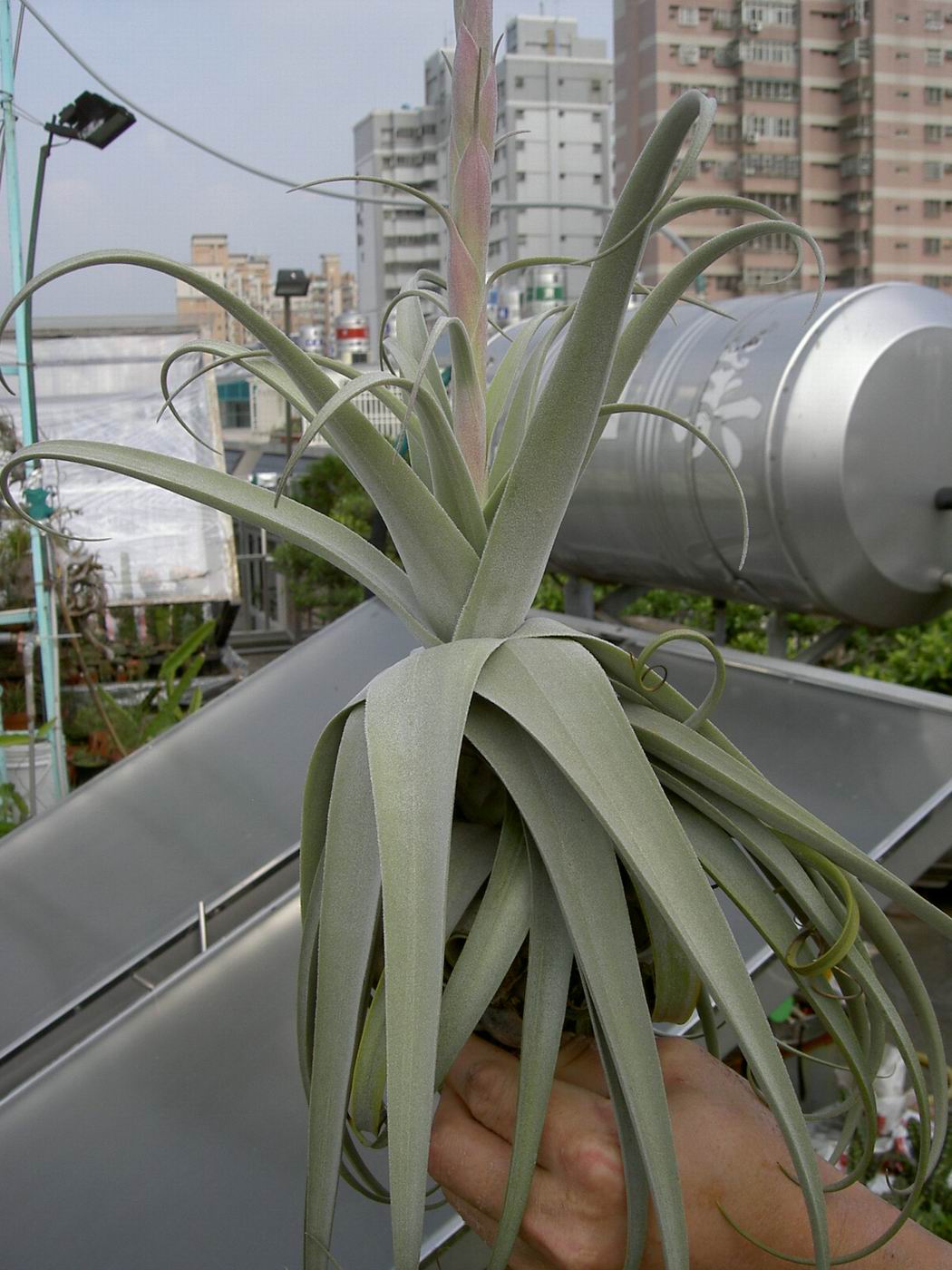 按此在新視窗瀏覽圖片