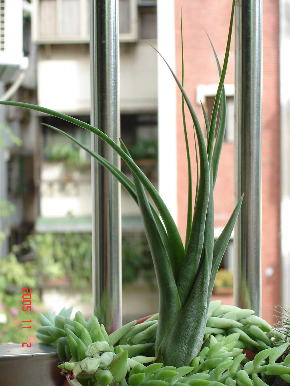 按此在新視窗瀏覽圖片