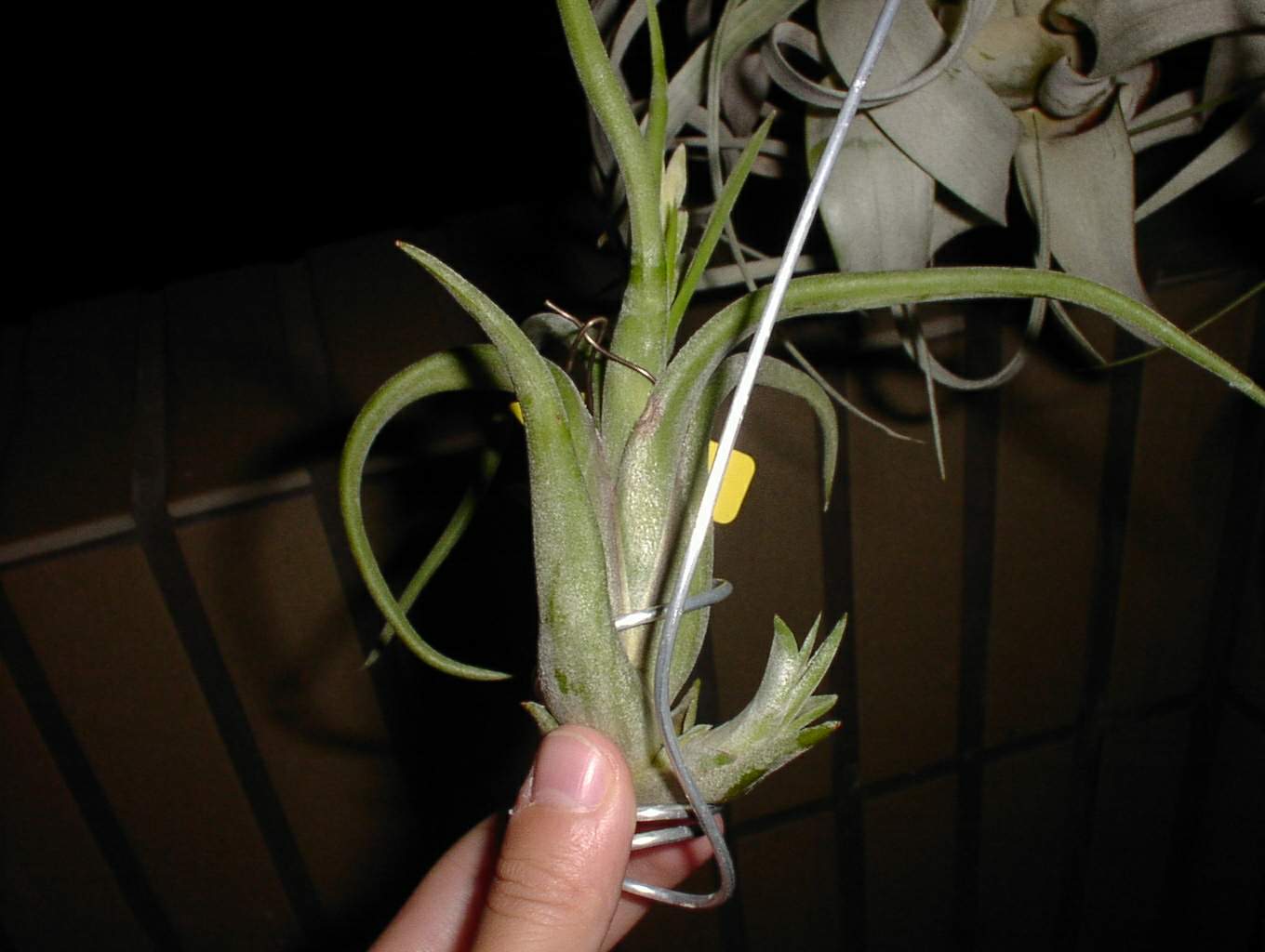 按此在新視窗瀏覽圖片