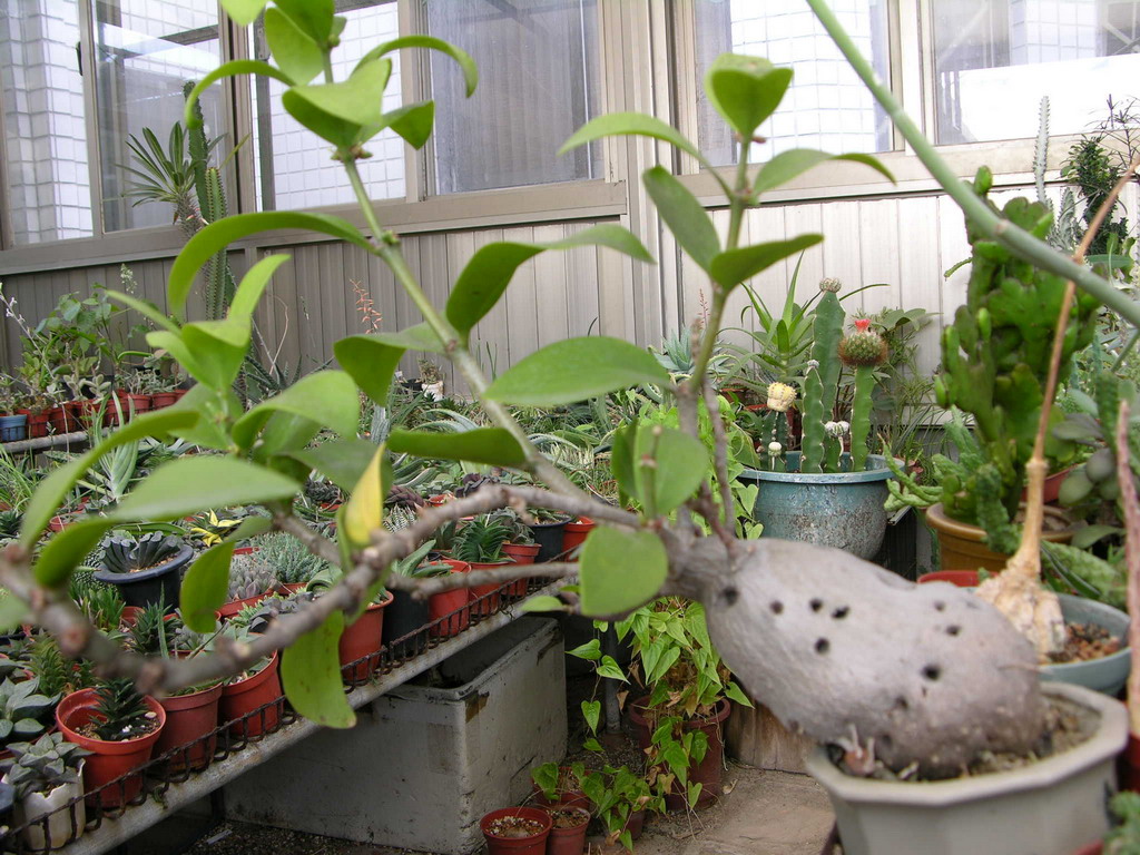 按此在新視窗瀏覽圖片