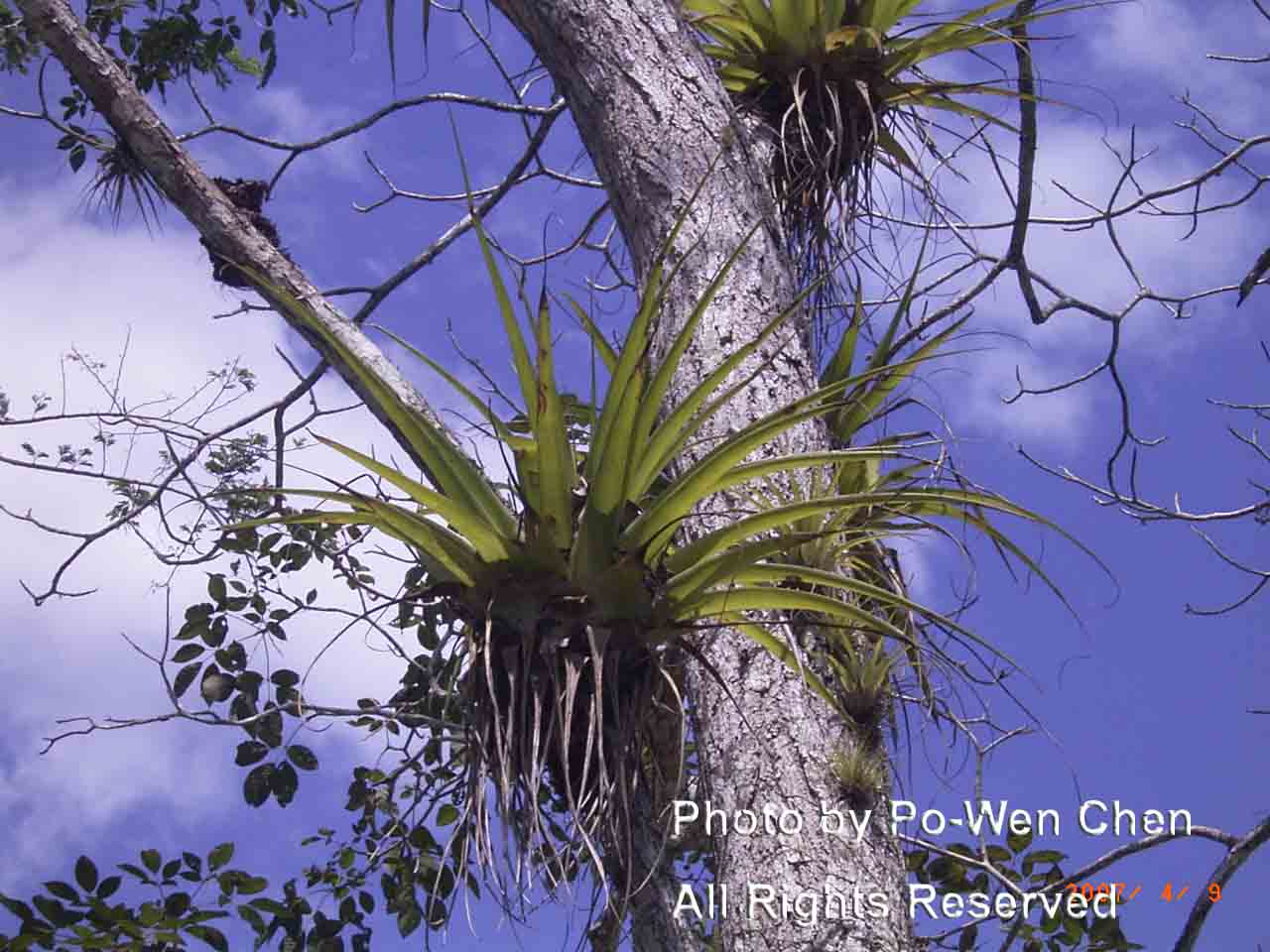 按此在新視窗瀏覽圖片