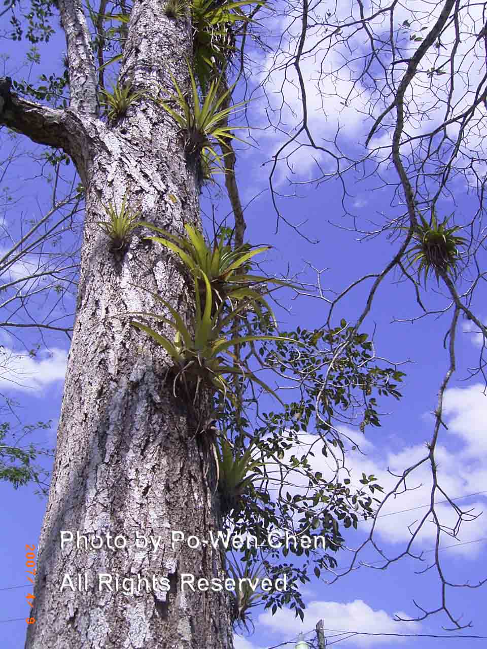 按此在新視窗瀏覽圖片