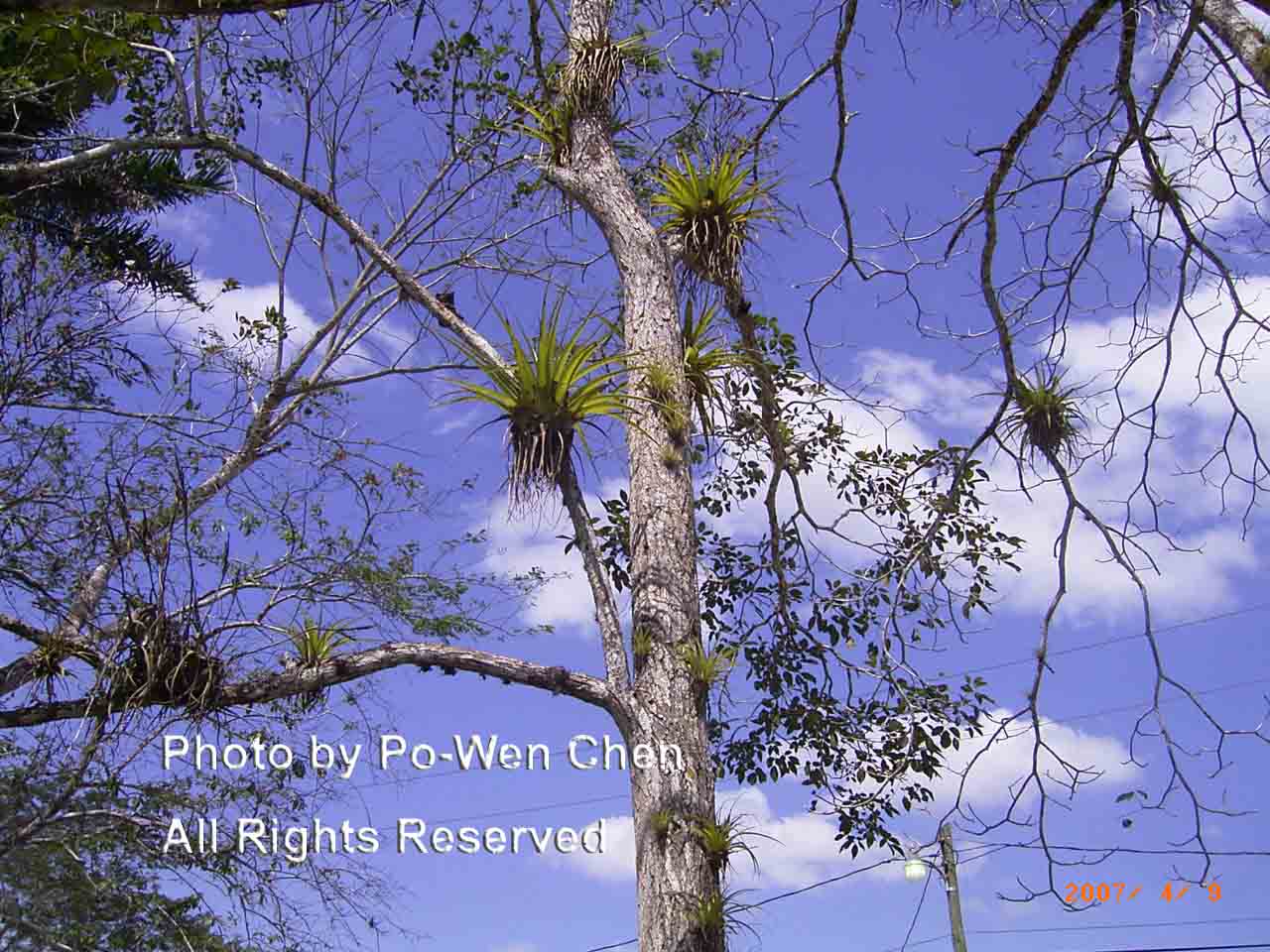 按此在新視窗瀏覽圖片