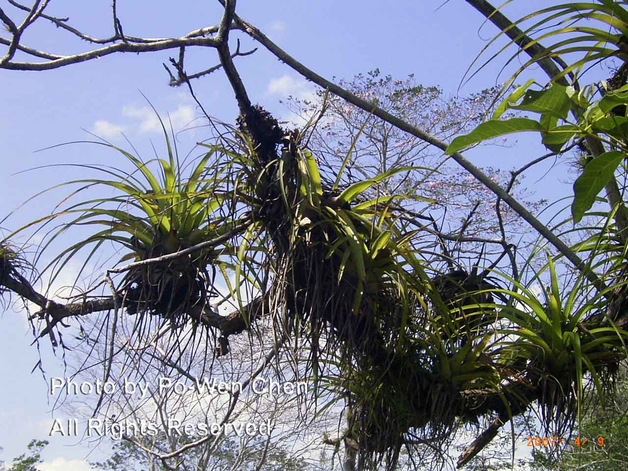 按此在新視窗瀏覽圖片