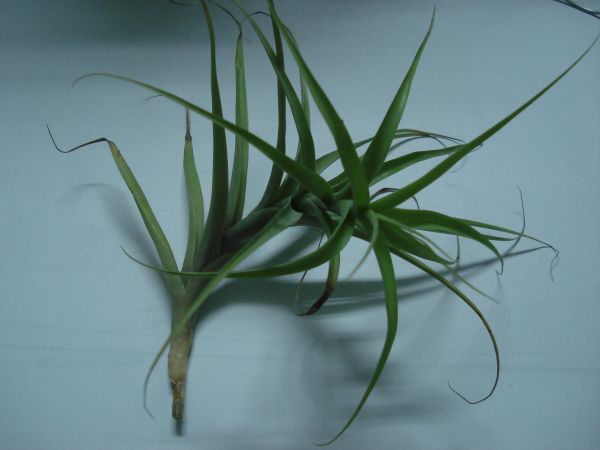 «ö¦¹¦b·sµøµ¡ÂsÄý¹Ï¤ù