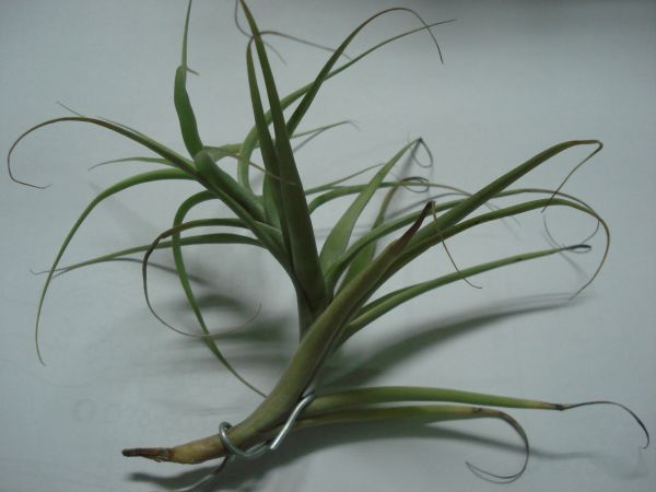 «ö¦¹¦b·sµøµ¡ÂsÄý¹Ï¤ù