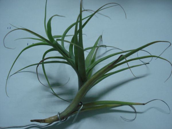 «ö¦¹¦b·sµøµ¡ÂsÄý¹Ï¤ù