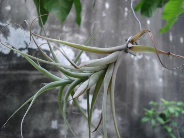 «ö¦¹¦b·sµøµ¡ÂsÄý¹Ï¤ù