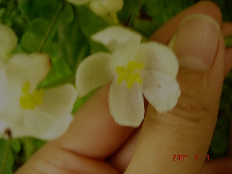 «ö¦¹¦b·sµøµ¡ÂsÄý¹Ï¤ù