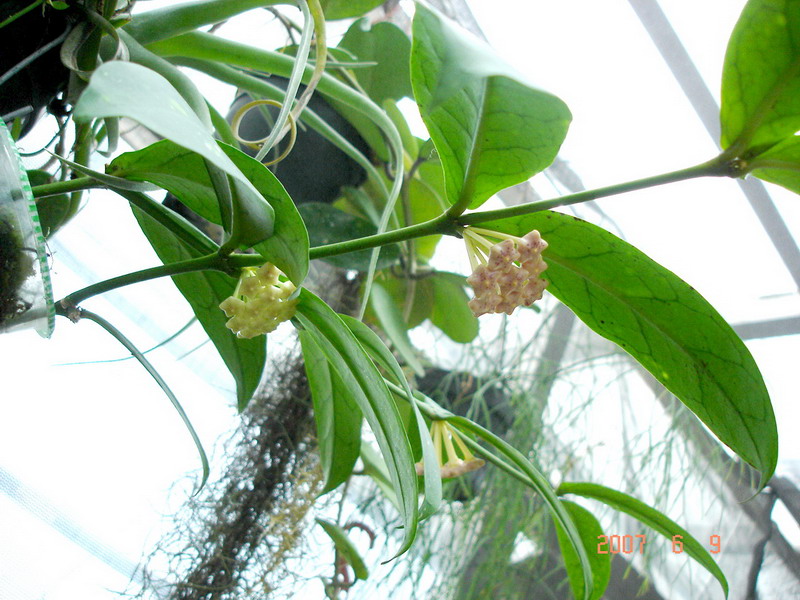 «ö¦¹¦b·sµøµ¡ÂsÄý¹Ï¤ù