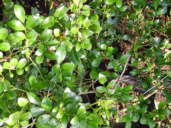 «ö¦¹¦b·sµøµ¡ÂsÄý¹Ï¤ù