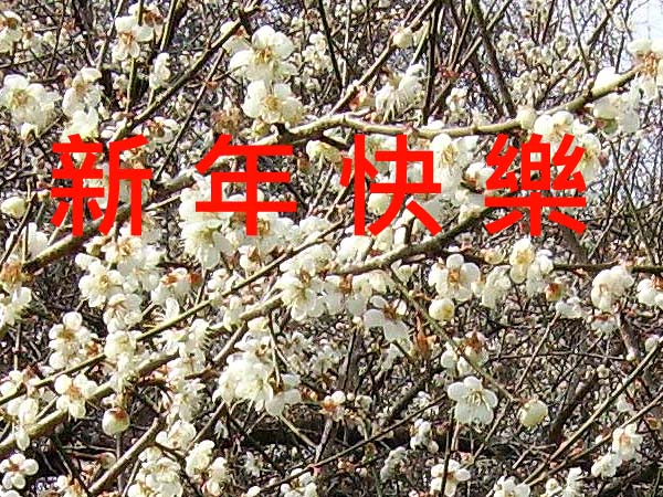 按此在新視窗瀏覽圖片