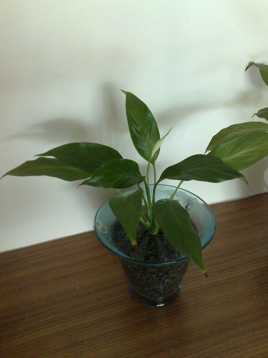 «ö¦¹¦b·sµøµ¡ÂsÄý¹Ï¤ù