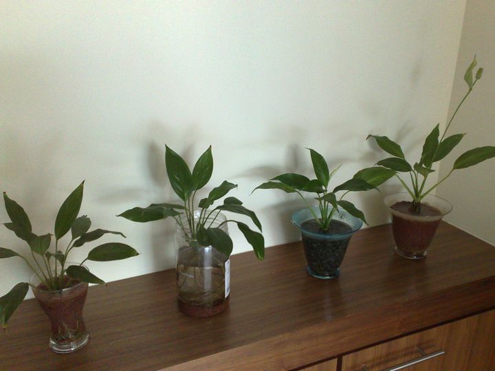 «ö¦¹¦b·sµøµ¡ÂsÄý¹Ï¤ù