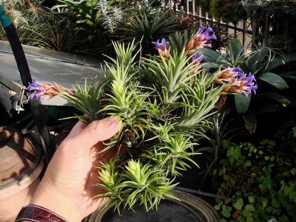 «ö¦¹¦b·sµøµ¡ÂsÄý¹Ï¤ù