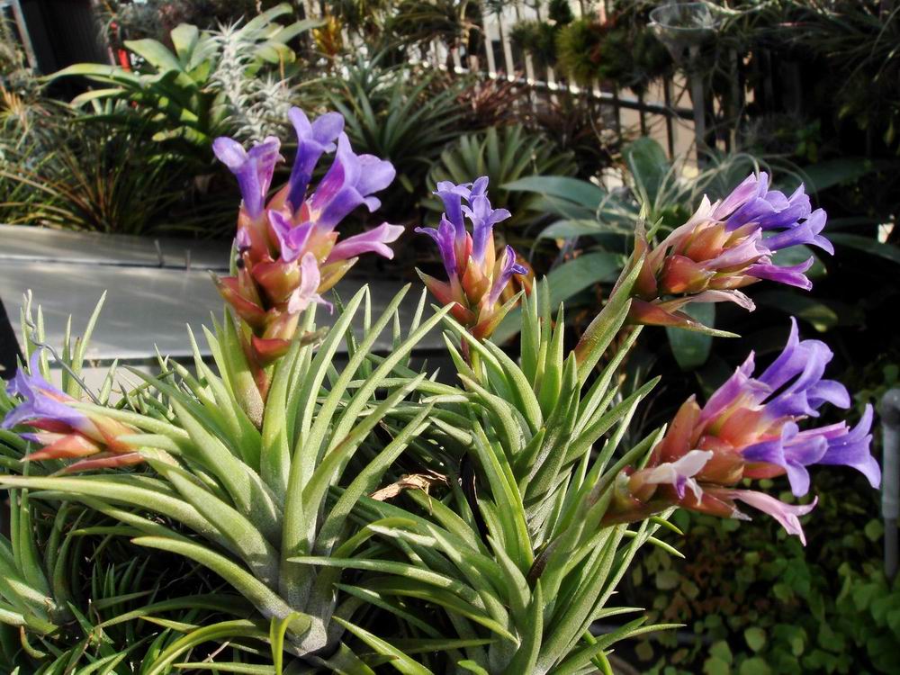 «ö¦¹¦b·sµøµ¡ÂsÄý¹Ï¤ù