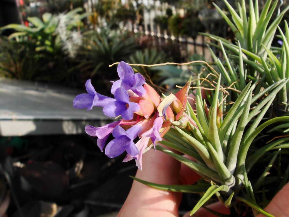 «ö¦¹¦b·sµøµ¡ÂsÄý¹Ï¤ù